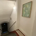 Casa vacanze La Casa Degli Alberi *