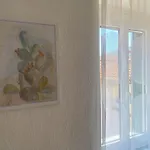 La Casa Degli Alberi Casa vacanze *