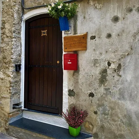 La Casa Degli Alberi *