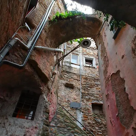 La Casa Degli Alberi *