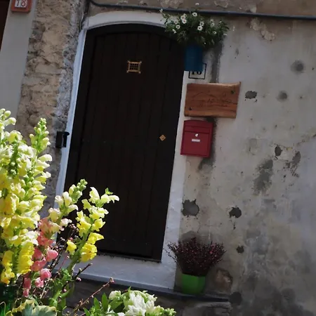 Tatil Evi La Casa Degli Alberi *