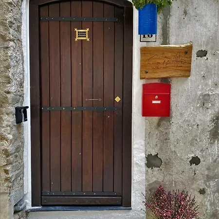 La Casa Degli Alberi Feriehus