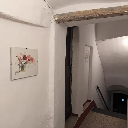 La Casa Degli Alberi *