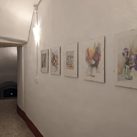 La Casa Degli Alberi *