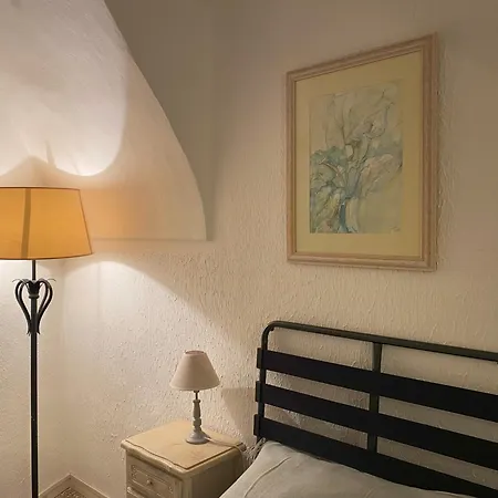 La Casa Degli Alberi *
