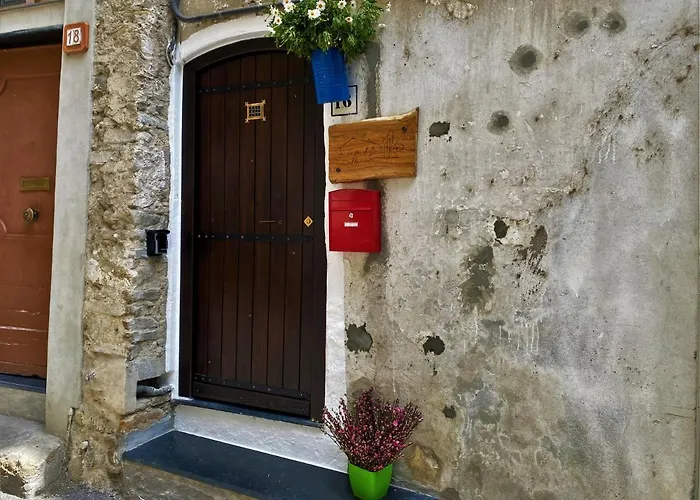 La Casa Degli Alberi *