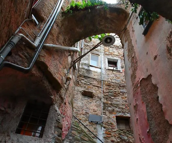 La Casa Degli Alberi *