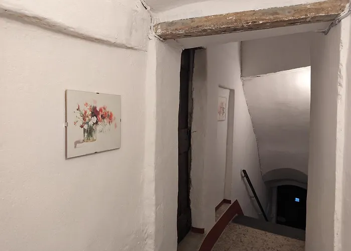 La Casa Degli Alberi *