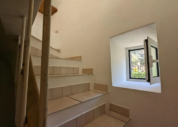 La Casa Degli Alberi Casa vacanze