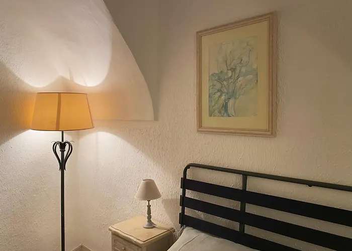 La Casa Degli Alberi *